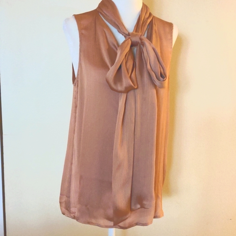 Silky Bow Tie Blouse